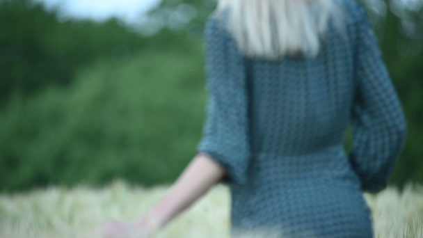 Close-up profundidade rasa de campo. A mão de uma jovem toca espiguetas verdes em um campo de trigo à noite. Cor fixe. Visão traseira
 - Filmagem, Vídeo