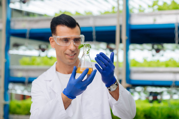 Dark-haired male agronomist holding glass tube with plant - Foto, Imagen