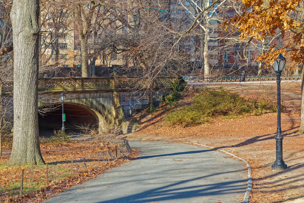 New York Central Park Greyshot Arch bridge winter time - Фото, изображение