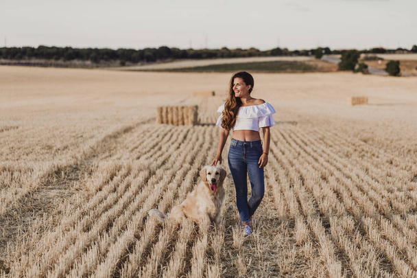 young beautiful woman walking with her golden retriever dog on a yellow field at sunset. Nature and lifestyle outdoors - 写真・画像