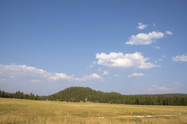 přírodní krajina v Lamaru Valley v národním parku Yellowstone v létě v Wyomingu - Fotografie, Obrázek