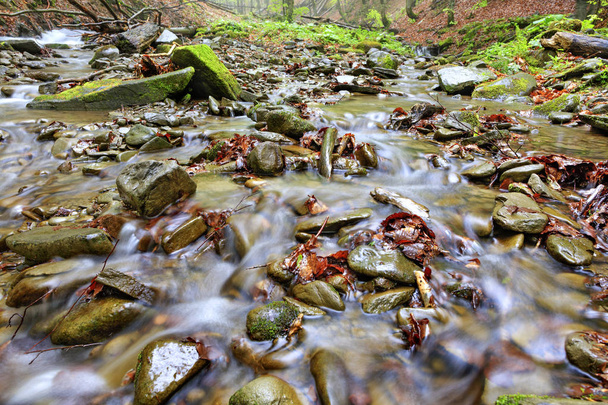 The waters of the forest brook run on stone pebbles and fallen leaves in the autumn forest. - Photo, Image