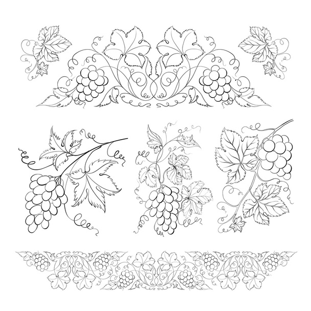 Hand drawn of pencil, grapes set. - Vector, Image