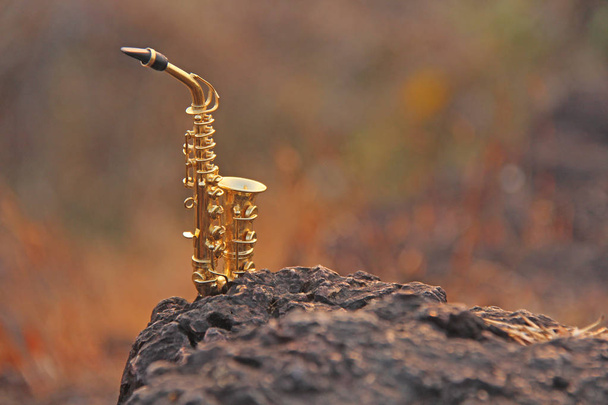 The golden alto saxophone stands on a black stone. Romantic musi - Photo, Image