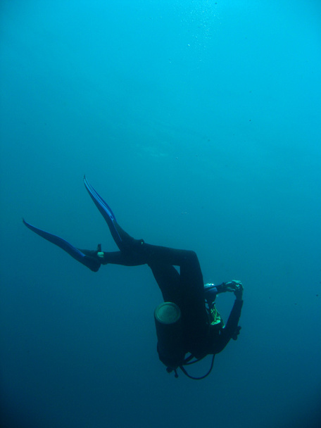 Diver descending - Photo, Image