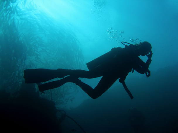 potápěči silueta - Fotografie, Obrázek