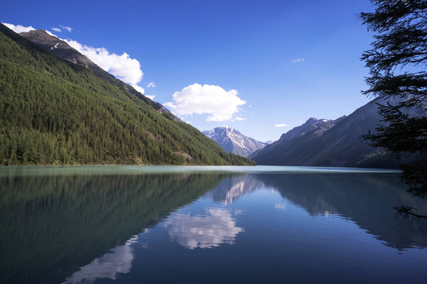 Boa noite. Lago Kucherlinskoe. Calma, serenidade. Altai Mountains, Sibéria. A Rússia. água clara azul no lago da montanha. Vida selvagem da taiga
 - Foto, Imagem