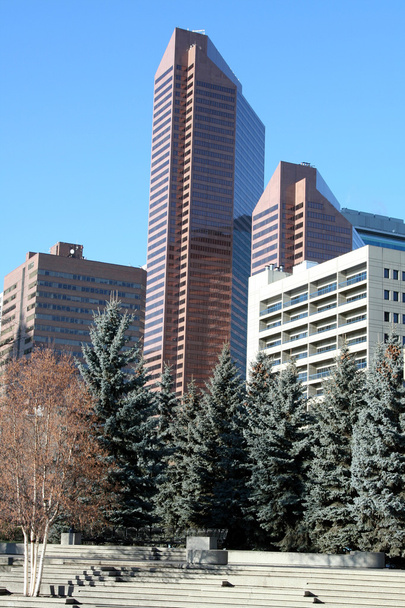Edificios de oficinas. Calgary, Canadá
 - Foto, Imagen