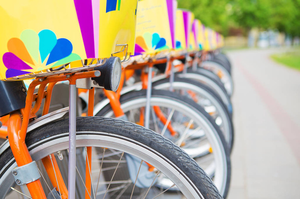 Μια σειρά από όμορφα ποδήλατα ενοικιάζονται στο δρόμο - Φωτογραφία, εικόνα