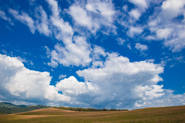 Blue sky with white clouds, fields and meadows with green grass, on the background of mountains. Composition of nature. Rural summer landscape. - Foto, Bild