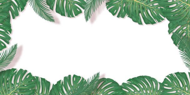 Tropical palm leaves frame on white backdrop. Summer tropical leaf. Exotic hawaiian jungle, summertime background. Pastel monochrome art colorful minimal style, White frame square. Banner for text - Fotografie, Obrázek