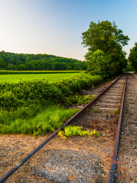 Fields along railroad tracks in York County, Pennsylvania. - Foto, imagen