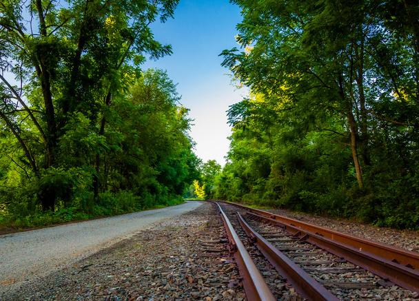 Railroad tracks along the Northern Central Railroad trail in Yor - 写真・画像