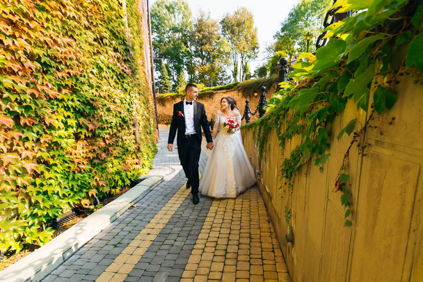 Friss házasok az épület közelében és borostyánnal borított fal. A menyasszony. - Fotó, kép