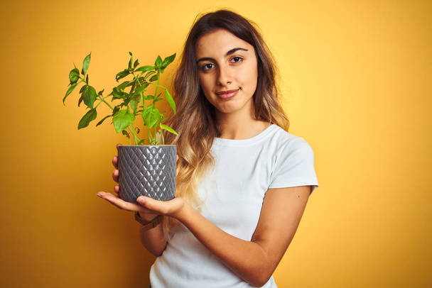 Young beautiful woman holding basil pot over yellow isolated background with a confident expression on smart face thinking serious - Foto, imagen