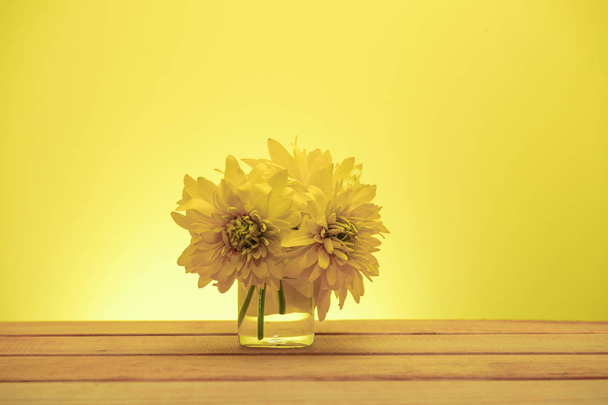 Beautiful yellow flowers on a old red wooden table, yellow background. - Photo, Image