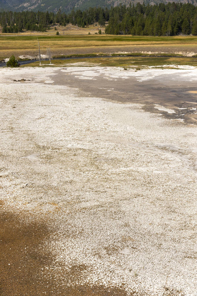 Gejzer i gorące źródło w starej, wiernej zlewni w Parku Narodowym Yellowstone w Wyoming - Zdjęcie, obraz