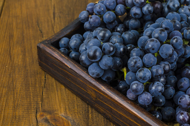 Uvas azules maduras, concepto de otoño, cosecha
 - Foto, imagen