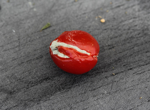 Tomate cherry podrido sobre fondo de tabla de cortar negro
 - Foto, Imagen
