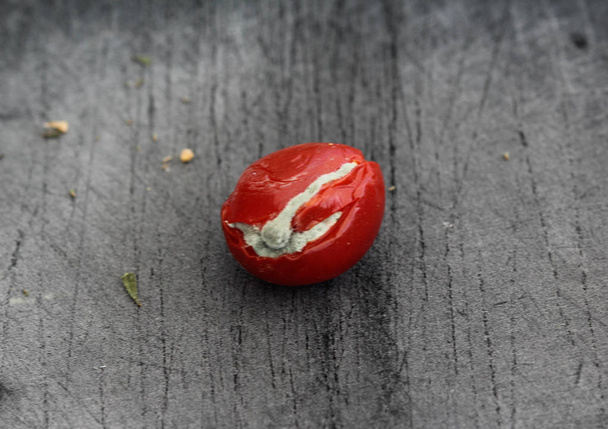 Tomate cherry podrido sobre fondo de tabla de cortar negro
 - Foto, Imagen
