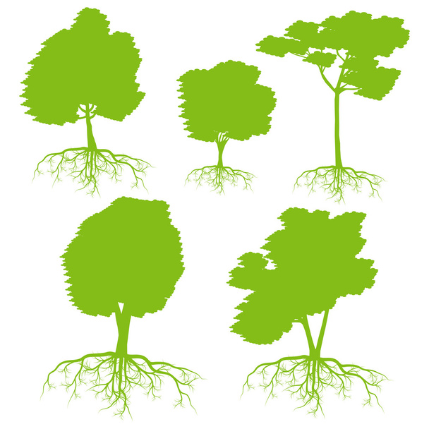 δέντρο με ρίζες διάνυσμα οικολογία καθορισμένο φόντο - Διάνυσμα, εικόνα