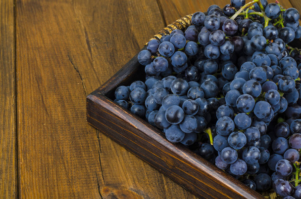 Спелый голубой виноград, осенняя концепция, уборка
 - Фото, изображение