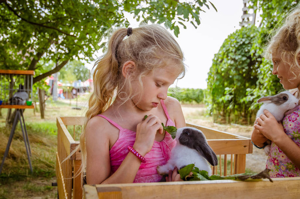 bájos gyermek etetés egy nyúl kisállat - Fotó, kép