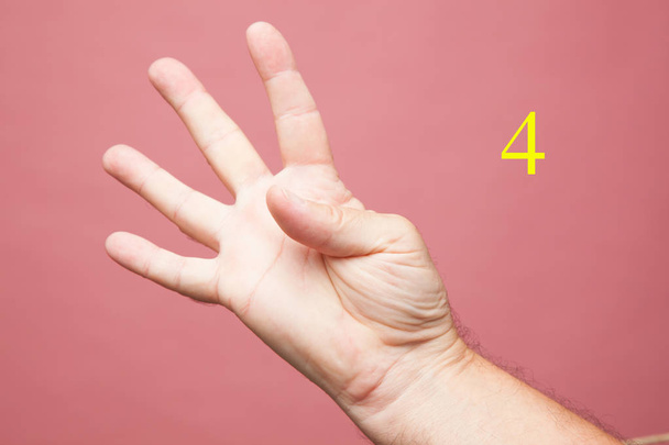 sinais e sinais que são feitos com a mão, sinais numéricos que são feitos com os dedos, um, dois, três, quatro, cinco, sinal de vitória, derrota, símbolos
 - Foto, Imagem