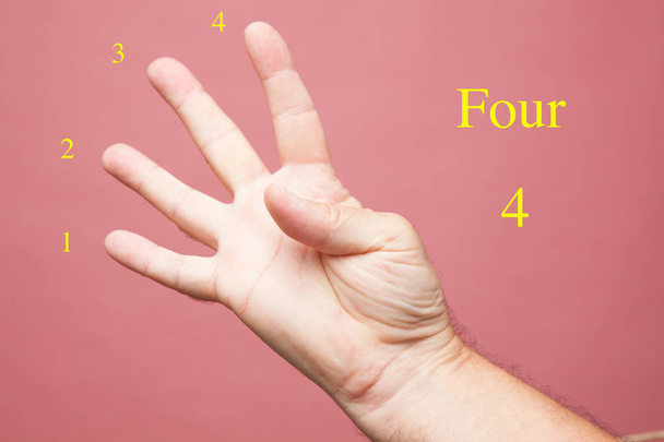 Hand and fingers making signs and numerical symbols and closed fist on plain background. Fist of man making numbers with fingers. - Photo, image
