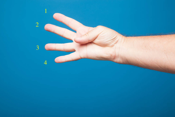 Mão e dedos fazendo sinais e símbolos numéricos e punho fechado no fundo liso. Punho de homem fazendo números com os dedos
. - Foto, Imagem