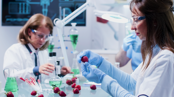 Food Genetics Scientist bestudeert fruit samples voor experimenten - Video