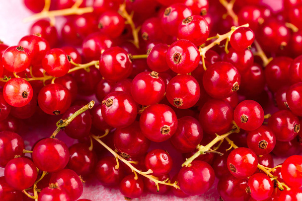 close-up view of fresh ripe red currants on pink background  - Foto, Imagen