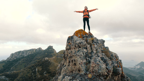 山の頂上に幸せな若い女性。若い女性は山の頂上に手を伸ばし、手を挙げる。美しい景色の頂上の女性. - 映像、動画