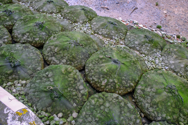 Sacchi di Gabion pieni di pietre in situ lungo la riva del fiume
.  - Foto, immagini