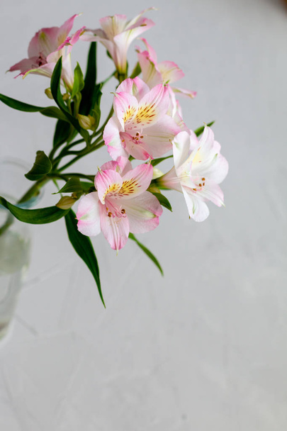 Bouquet de fleurs roses Alstroemeria avec espace pour le texte, modèle pour carte postale
 - Photo, image