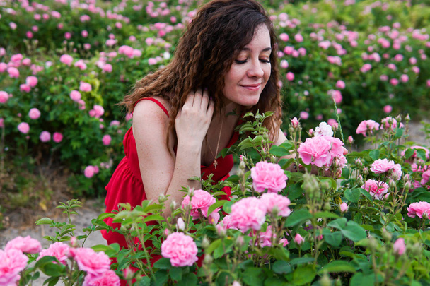 Beautiful woman in red dress on a field of blossoming roses - Фото, изображение