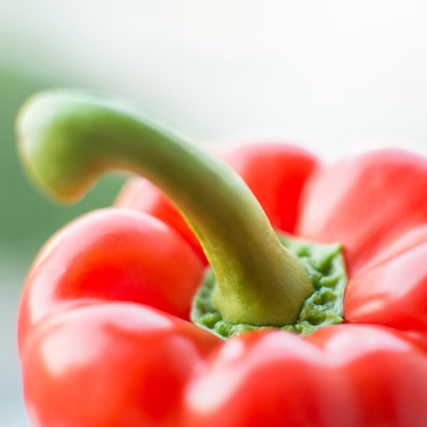 red pepper - Foto, imagen