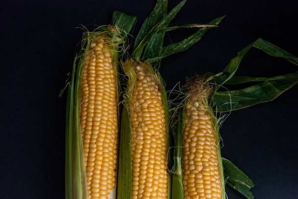 Yellow sweet raw corn on a black background close-up. - Foto, imagen