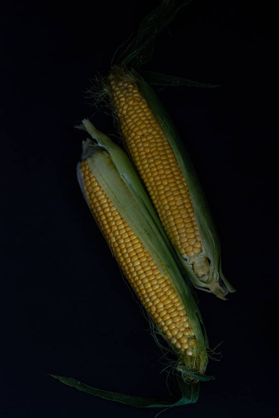 Yellow sweet raw corn on a black background - 写真・画像