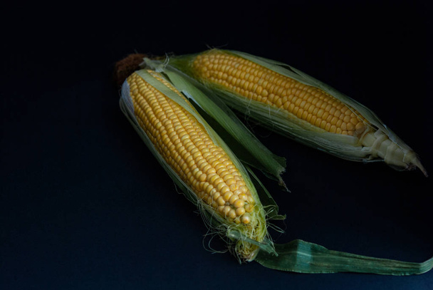 Yellow sweet raw corn on a black background close-up - Zdjęcie, obraz