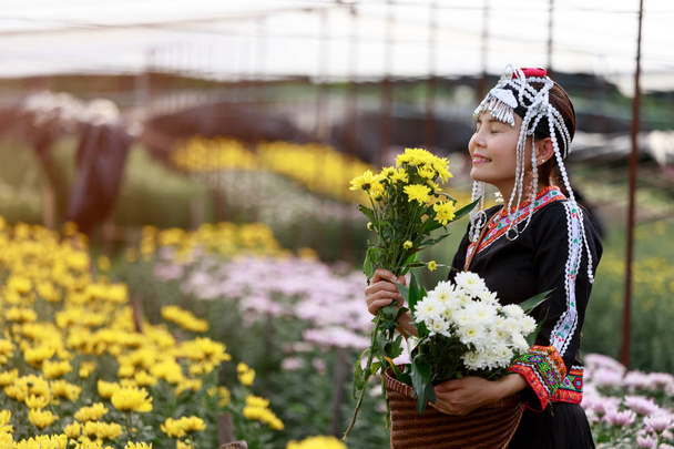 Mulher local asiática ou Hmong coletar crisântemo amarelo e branco e sorrindo no jardim de flores
 - Foto, Imagem