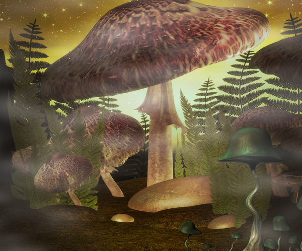 magické houby pozadí - Fotografie, Obrázek
