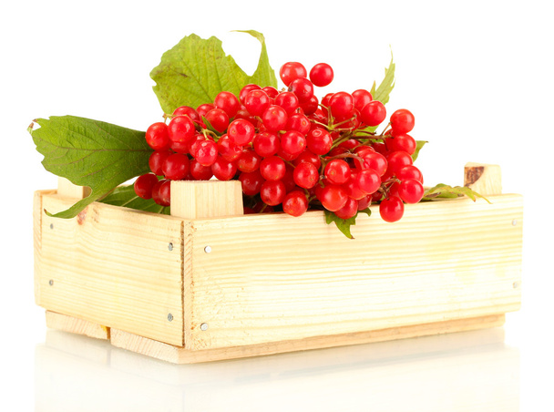 Ripe viburnum in a wooden box isolated on white - Foto, imagen
