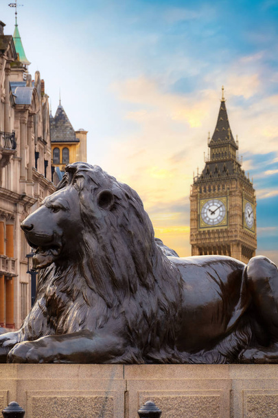 Скульптура Лева на Трафальгарській площі в Лондоні, Великобританія - Фото, зображення