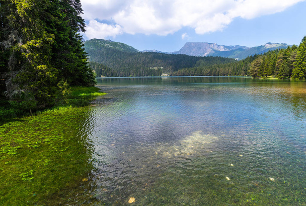 Montenegro, Black Lake in a Durmitor Park - Фото, изображение