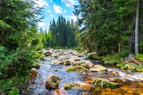 Rio Jizera cheio de rochas de granito no dia ensolarado de verão, Jizera Mountains, República Checa
 - Foto, Imagem