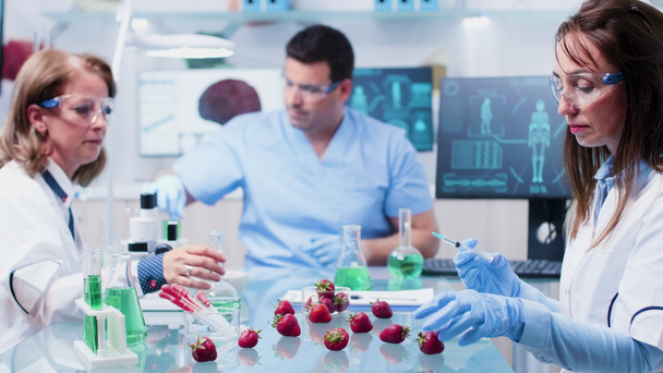 Вчений вводить полуницю з GMO
 - Кадри, відео