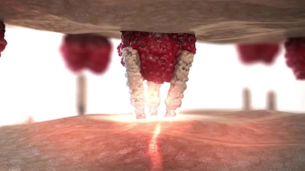 przenikanie komórek tumorcellintonienaruszone - Materiał filmowy, wideo