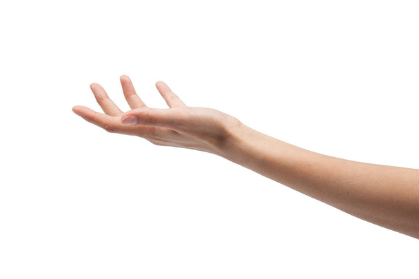 Open a woman's hand, palm up isolated on white background - Valokuva, kuva