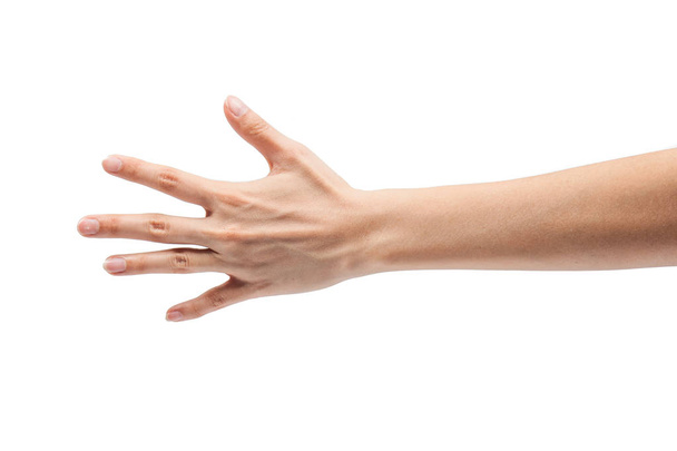 Female hand isolated on white background - Photo, Image